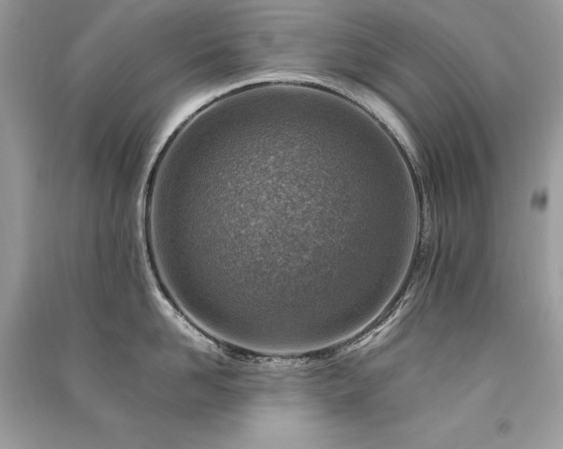 X0000091360958200708101417