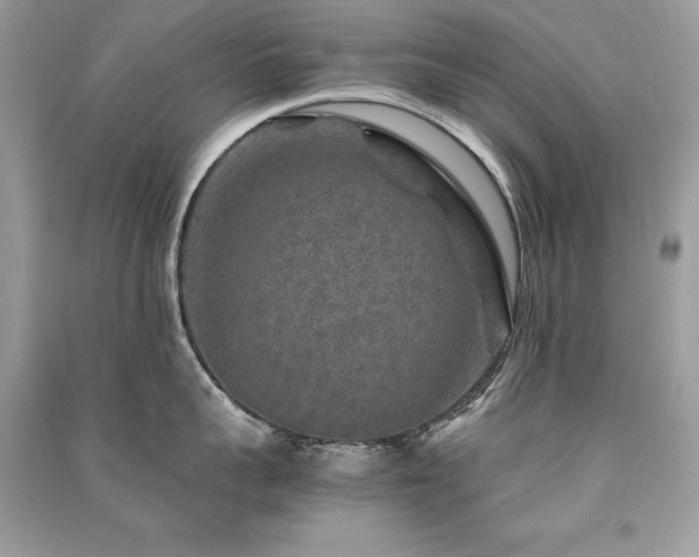 X0000091360959200708101417