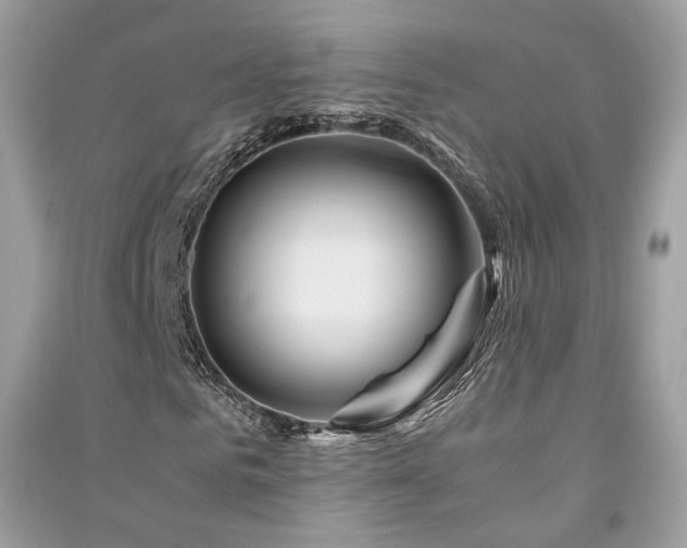 X0000091360961200708101416