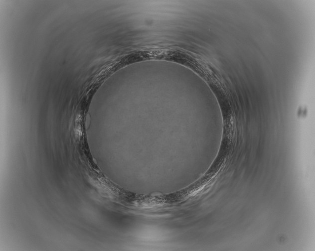 X0000091360962200708101416