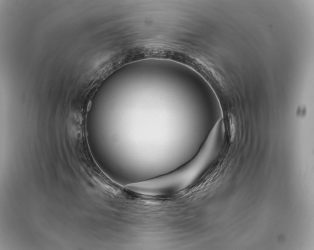 X0000091360964200708101416