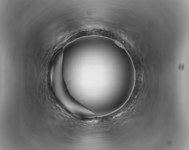 X0000091360965200708101416