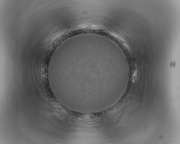X0000091360966200708101416