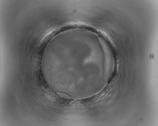 X0000091360967200708101416