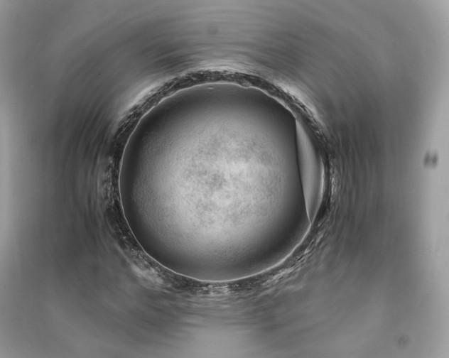 X0000091360968200708101416