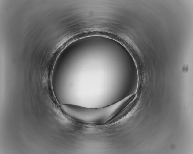 X0000091360969200708101416