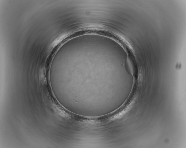 X0000091360970200708101416