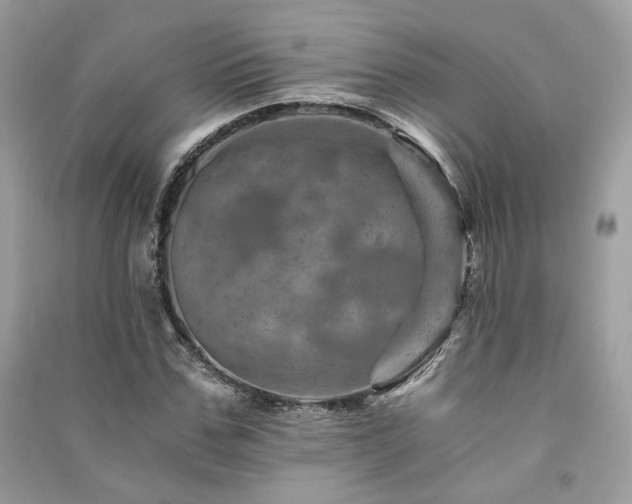 X0000091360971200708101416