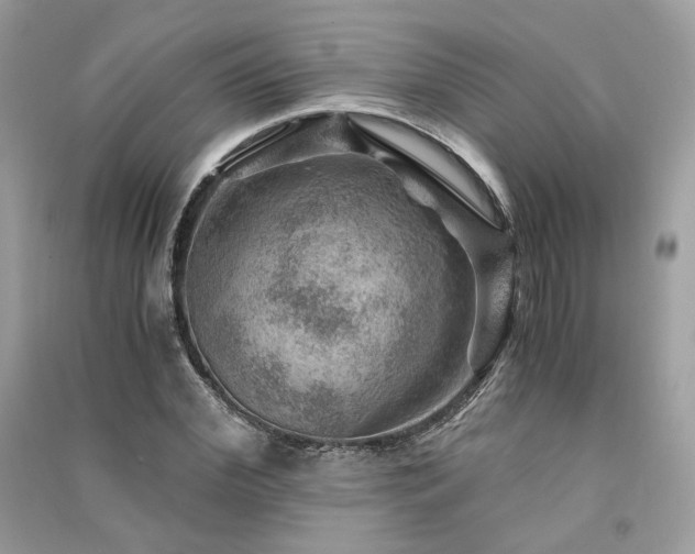 X0000091360972200708101416