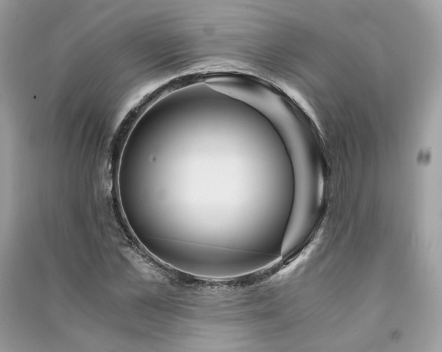 X0000091360973200708101416