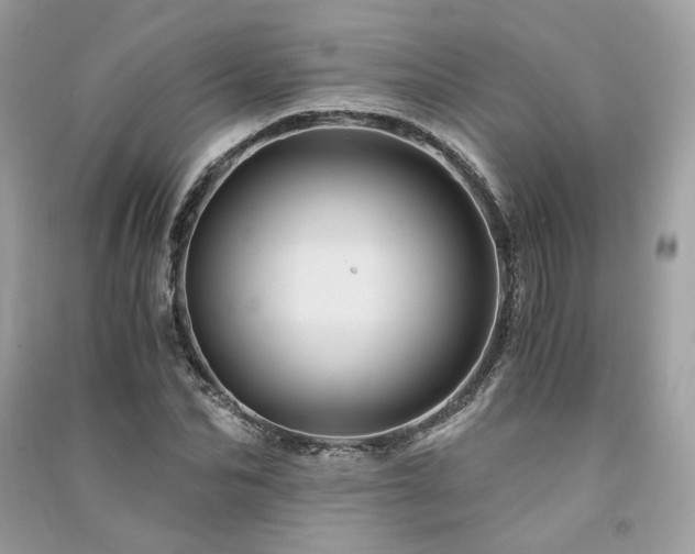 X0000091360974200708101416