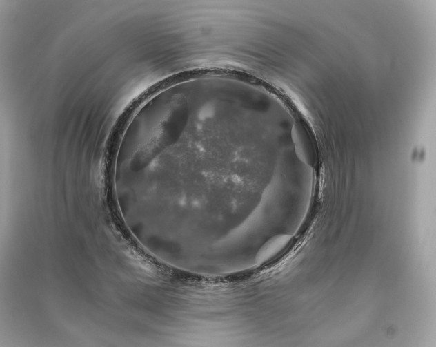 X0000091360975200708101416