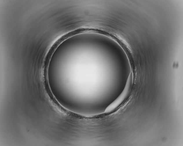 X0000091360976200708101416