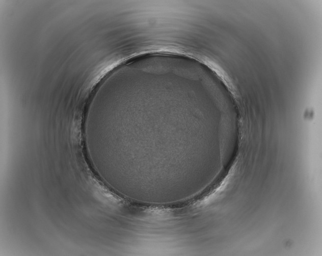 X0000091360977200708101416