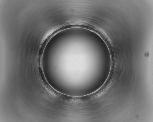 X0000091360978200708101416