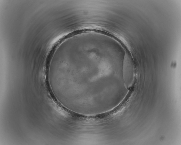 X0000091360979200708101416