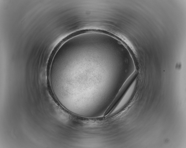 X0000091360980200708101416