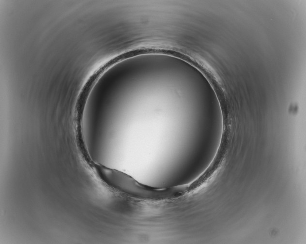 X0000091360981200708101416