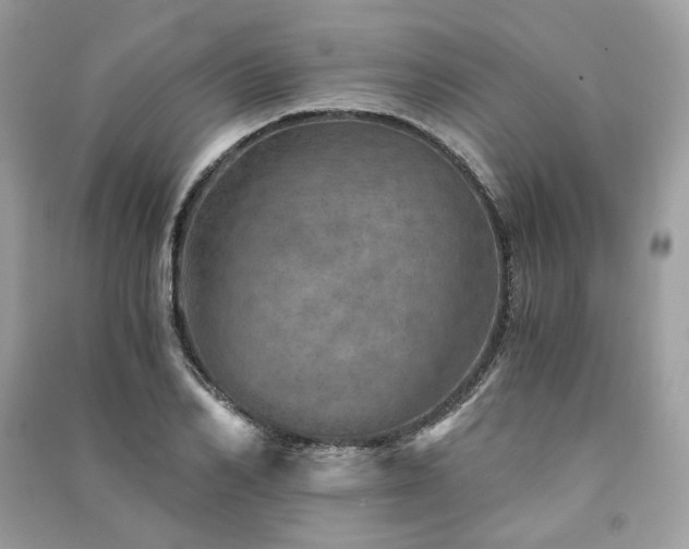 X0000091360982200708101416