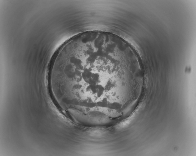 X0000091360983200708101416