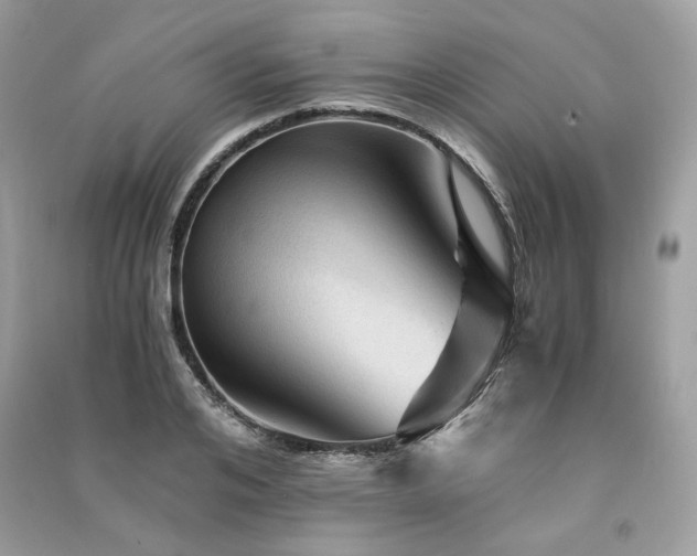 X0000091360984200708101416