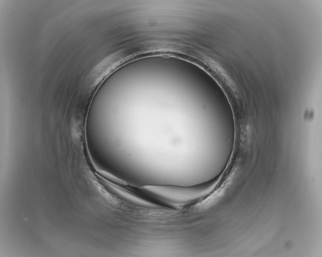 X0000091360985200708101416