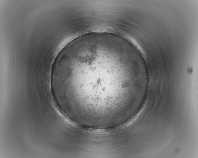 X0000091360986200708101416