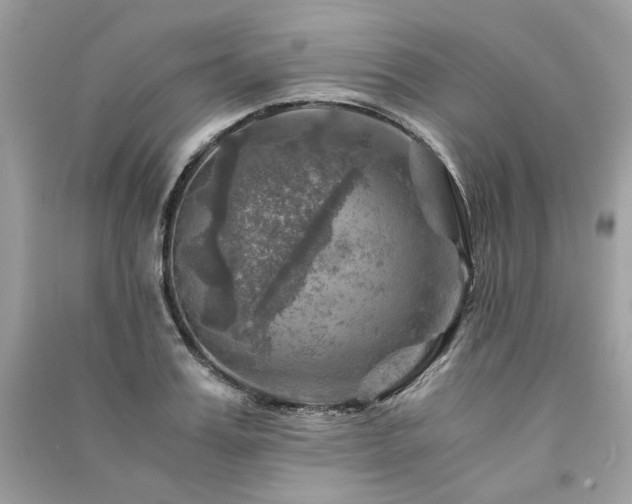 X0000091360987200708101416