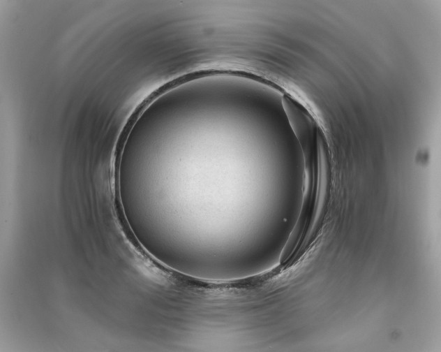 X0000091360988200708101416