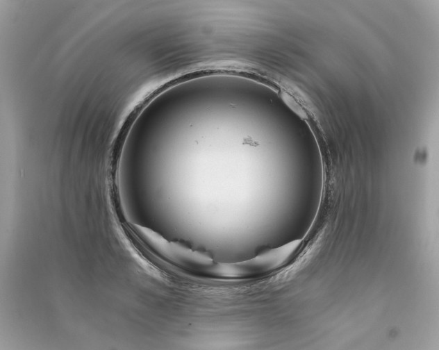 X0000091360989200708101416