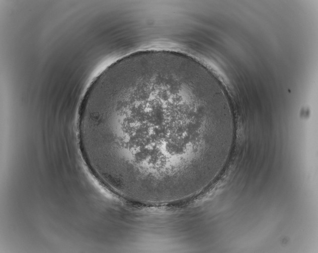 X0000091360990200708101416