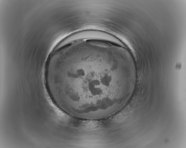 X0000091360991200708101416