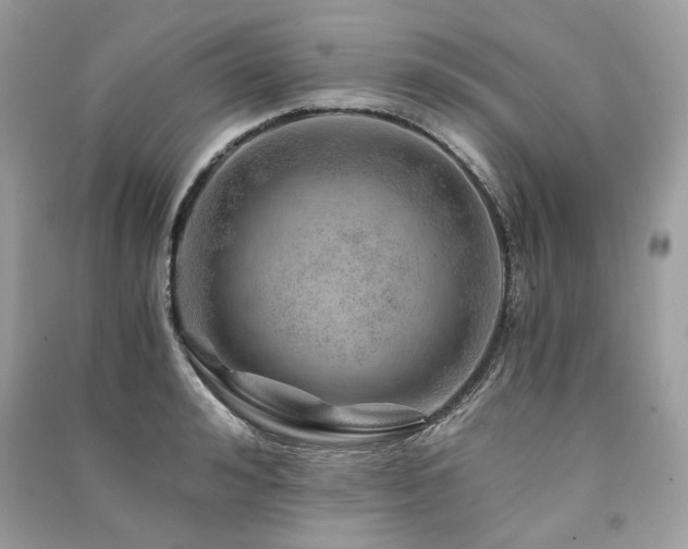 X0000091360992200708101416