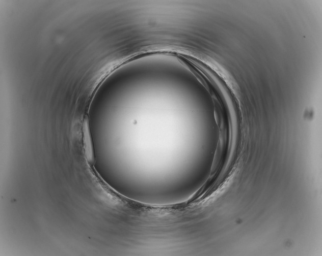 X0000091360993200708101416