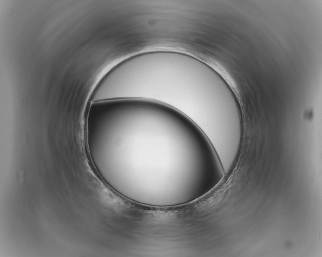 X0000091360996200708101416