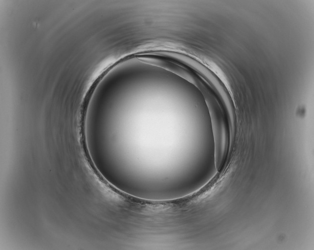X0000091360997200708101416