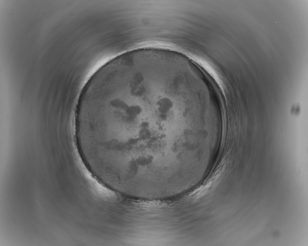 X0000091360999200708101416