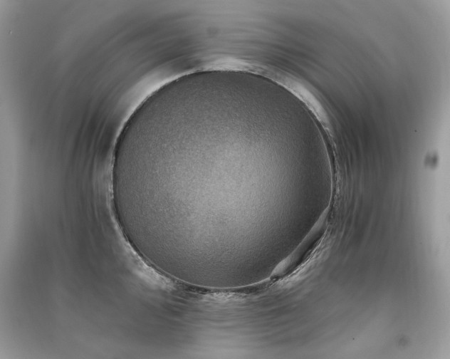 X0000091361000200708101416
