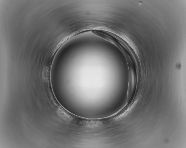 X0000091361001200708101416