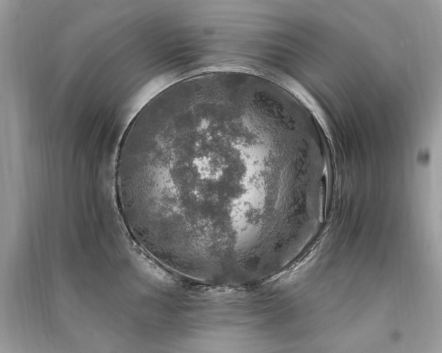 X0000091361002200708101416