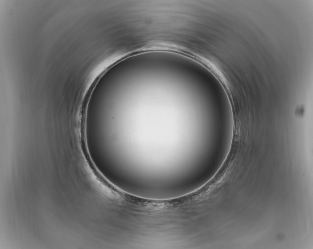 X0000091361003200708101415
