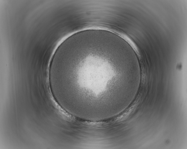 X0000091361004200708101415