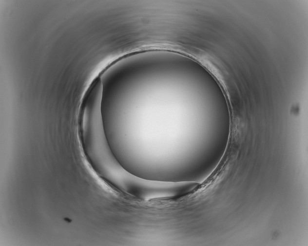 X0000091361005200708101415