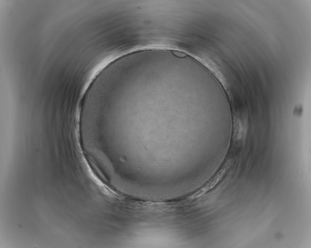 X0000091361006200708101415