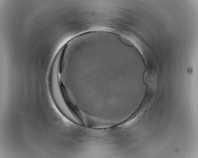 X0000091361007200708101415