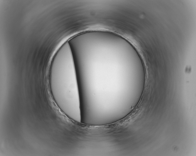 X0000091361008200708101415
