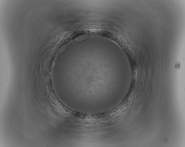X0000091361009200708101415