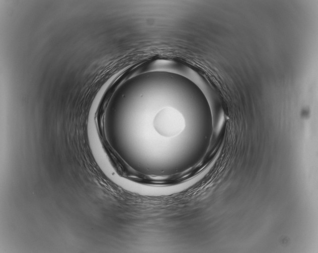 X0000091361010200708101415
