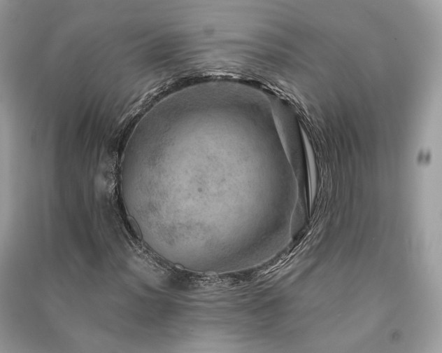 X0000091361012200708101415