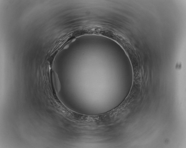 X0000091361013200708101415